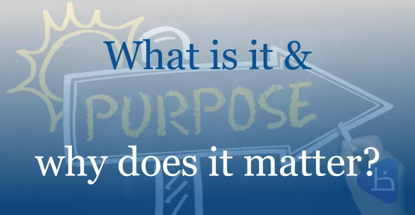 PURPOSE – What is it and why does it matter